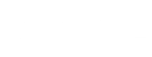 site Logo Hgnice game